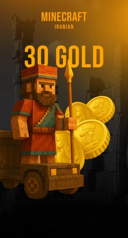 coin item