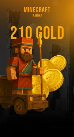 coin item